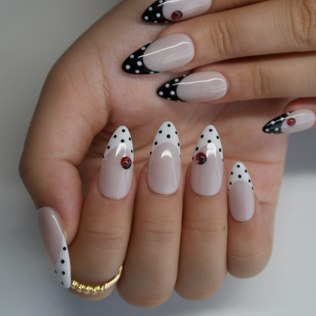 Ladybug